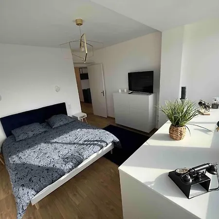 Plein Centre-ville T2 Refait A Neuf Aix-les-Bains